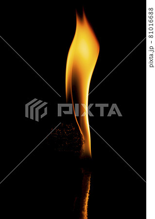 Fire flames Fire flames 81016688