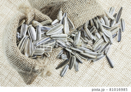 Sunflower seeds in sacks. 81016985