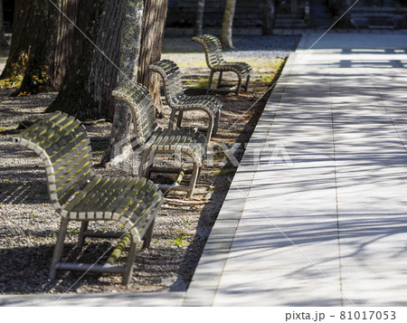 ベンチが並ぶ公園の風景 81017053