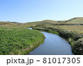 最北の原野にたたずむ湿原河川 81017305