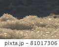 朝日に照らされた雪の結晶 81017306