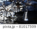 冬の屈斜路湖で見つけた氷の造形美 81017309