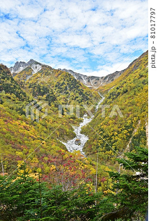 紅葉の横尾本谷と南岳 涸沢へ向かう登山道 紅葉の横尾本谷と南岳 涸沢へ向かう登山道 81017797