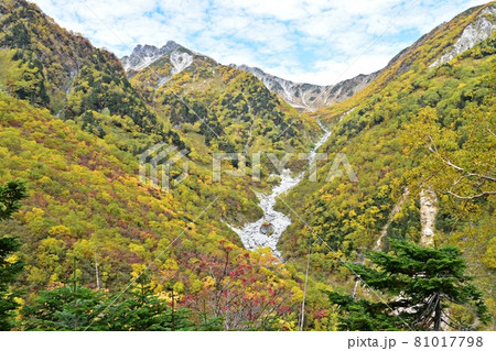 紅葉の横尾本谷と南岳 涸沢へ向かう登山道 紅葉の横尾本谷と南岳 涸沢へ向かう登山道 81017798