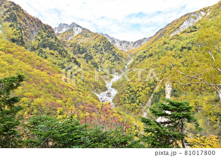 紅葉の横尾本谷と南岳　涸沢へ向かう登山道 81017800
