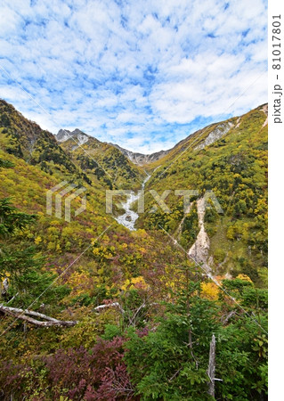 紅葉の横尾本谷と南岳 涸沢へ向かう登山道 紅葉の横尾本谷と南岳 涸沢へ向かう登山道 81017801