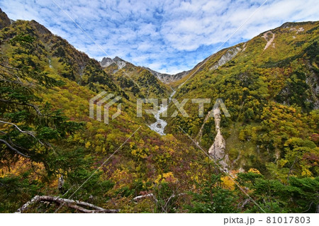 紅葉の横尾本谷と南岳 涸沢へ向かう登山道 紅葉の横尾本谷と南岳 涸沢へ向かう登山道 81017803