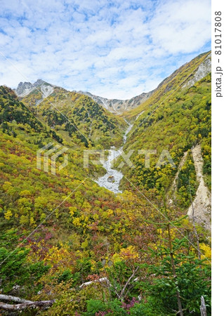 紅葉の横尾本谷と南岳 涸沢へ向かう登山道 紅葉の横尾本谷と南岳 涸沢へ向かう登山道 81017808