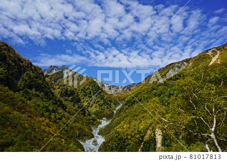 紅葉の横尾本谷と南岳 涸沢へ向かう登山道 紅葉の横尾本谷と南岳 涸沢へ向かう登山道 81017813