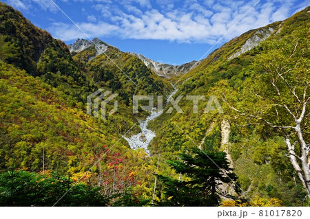 紅葉の横尾本谷と南岳　涸沢へ向かう登山道 81017820
