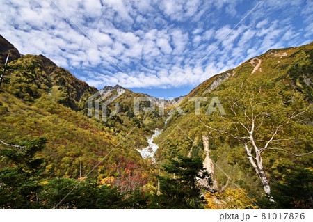 紅葉の横尾本谷と南岳 涸沢へ向かう登山道 紅葉の横尾本谷と南岳 涸沢へ向かう登山道 81017826