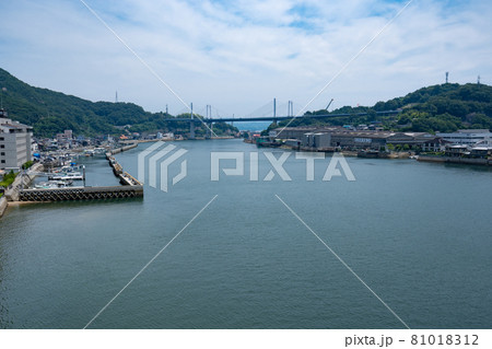 尾道水道、しまなみ海道、尾道大橋＜広島県尾道市役所から/8月＞ 81018312
