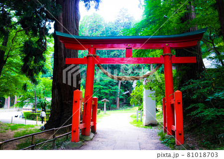 岩手県平泉の世界遺産「中尊寺」の「白山神社」の鳥居 岩手県平泉の世界遺産「中尊寺」の「白山神社」の鳥居 81018703