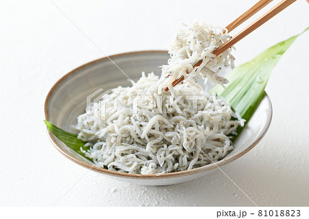 食器に盛られたしらす干し 食器に盛られたしらす干し 81018823
