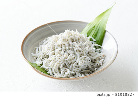 食器に盛られたしらす干し 81018827