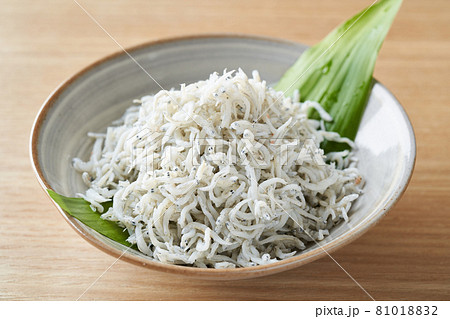 食器に盛られたしらす干し 81018832
