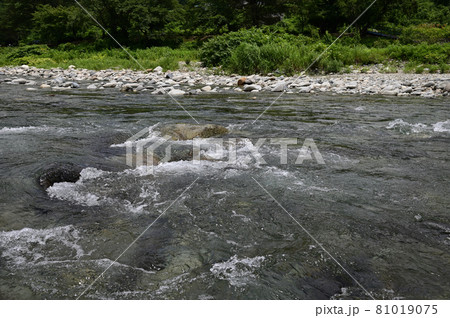 利根川上流群馬県水上付近 利根川上流群馬県水上付近 81019075