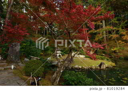 金戒光明寺の紅葉 金戒光明寺の紅葉 81019284
