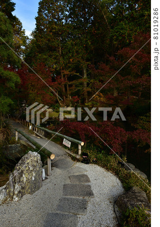 金戒光明寺の紅葉 金戒光明寺の紅葉 81019286