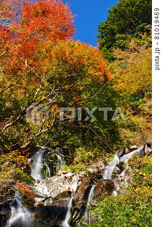 紅葉の箱根　飛龍の滝 81019469