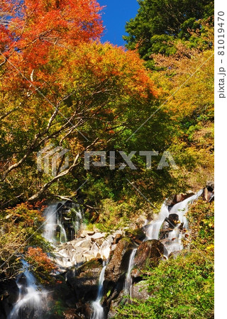 紅葉の箱根　飛龍の滝 81019470