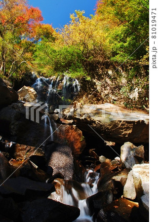 紅葉の箱根　飛龍の滝 81019471