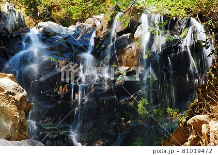 紅葉の箱根 飛龍の滝 紅葉の箱根 飛龍の滝 81019472