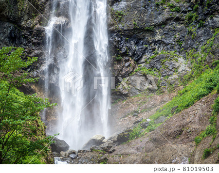 白山白川郷ホワイトロードのふくべの大滝 81019503