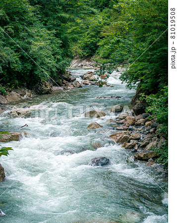 白山白川郷ホワイトロード沿いの蛇谷川 81019508