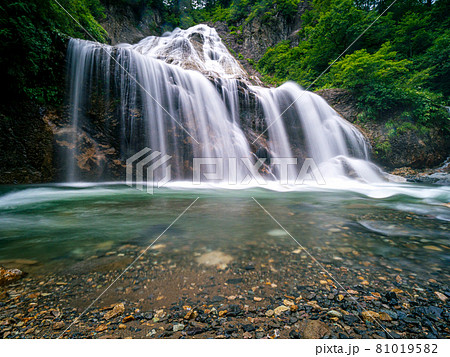 夏の姥ヶ滝の美しい風景 81019582