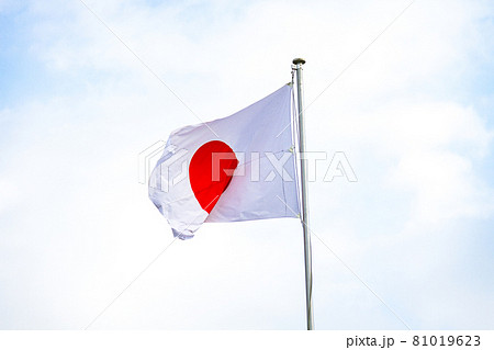 国旗 国旗 81019623