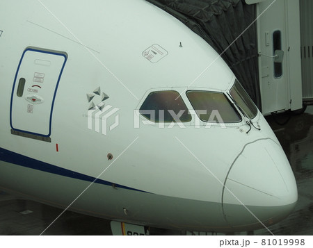 飛行機のアップ　羽田国際空港 81019998