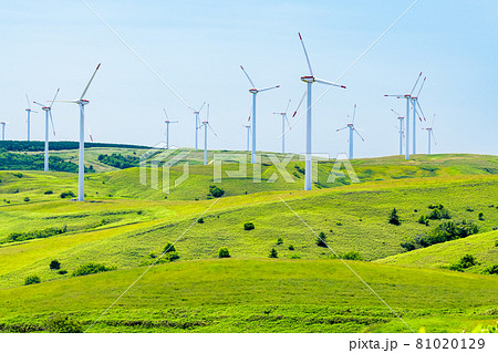 北海道　夏の宗谷丘陵（ウインドファーム） 81020129