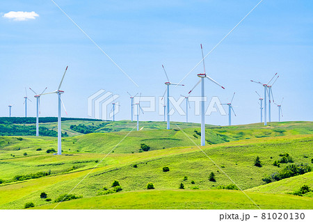 北海道　夏の宗谷丘陵（ウインドファーム） 81020130