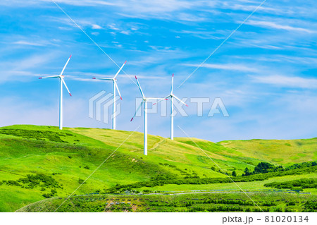 北海道　夏の宗谷丘陵（ウインドファーム） 81020134