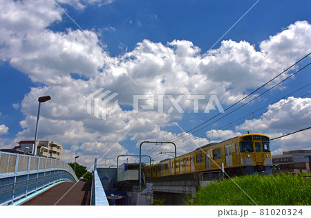 夏の青空 81020324