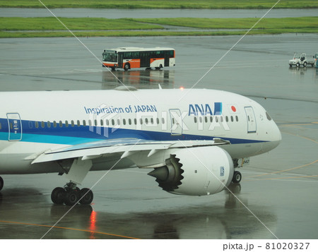 悪天候の中、出発した離陸前の飛行機　羽田国際空港 81020327