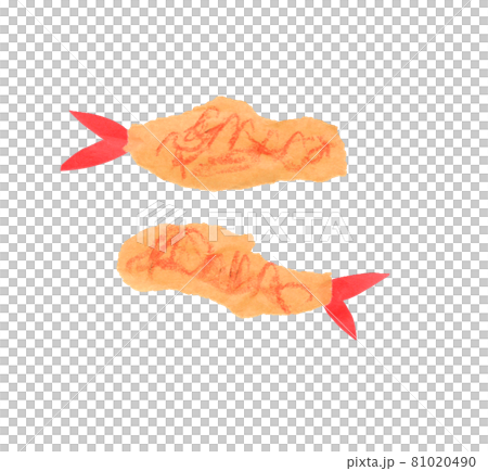 Fried Shrimp - Stock Illustration [81020490] - PIXTA
