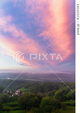 常陸大宮市　山王山自然公園の朝 81020563