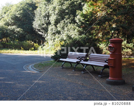 公園のベンチ 公園のベンチ 81020888