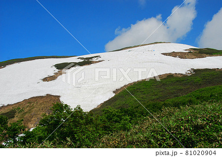 山形県　夏の月山　姥ケ岳ゲレンデ 81020904