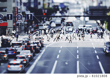 横断歩道を渡る人々と都市風景 ビジネスイメージ 81021808