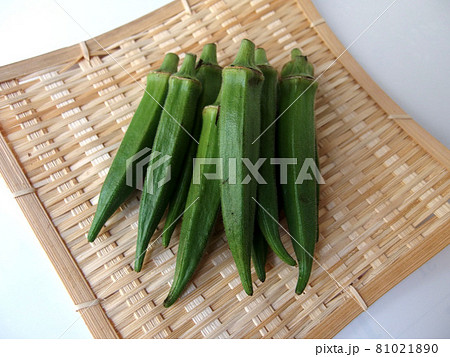 オクラ　夏野菜　ねばねば　栄養豊富 81021890