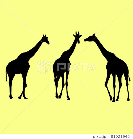 Shapes of giraffe silhouettes on white background vector illustrations isolated on yellow background 81021946