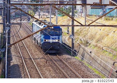 分倍河原駅に到着する貨物電車 分倍河原駅に到着する貨物電車 81022543