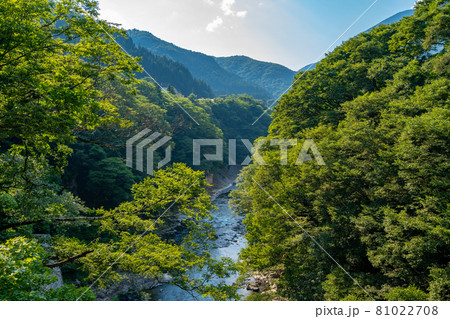 湯野上温泉 吊り橋からの風景 源泉が河原の岩盤から湧き出る 湯野上温泉 吊り橋からの風景 源泉が河原の岩盤から湧き出る 81022708