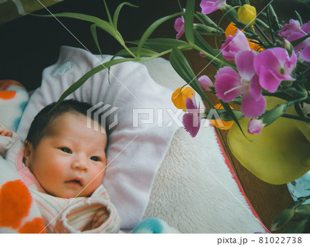 生後7日目 81022738