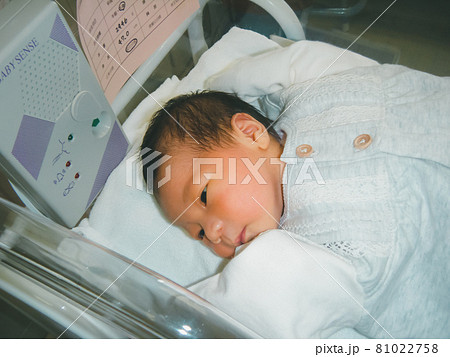 生後5日目 生後5日目 81022758