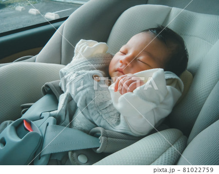 生後5日目 生後5日目 81022759