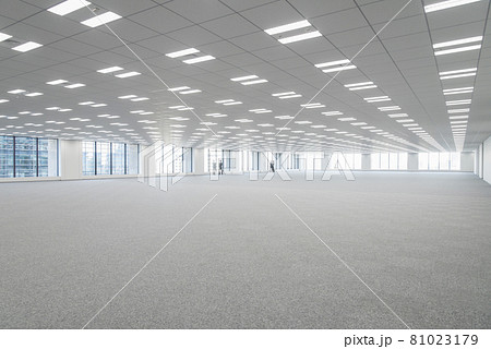 オフィスビル 広大なテナント募集の空きフロア オフィスビル 広大なテナント募集の空きフロア 81023179
